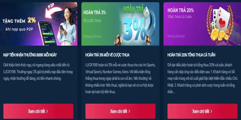 Người chơi Baccarat đang xem xét các loại cược